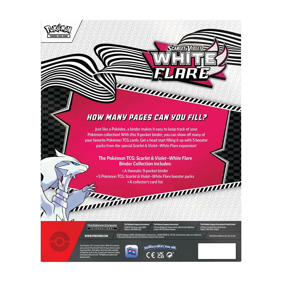 White Flare Binder Collection