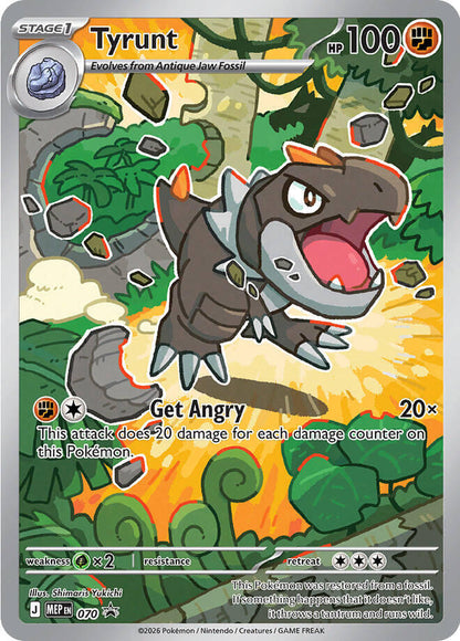 Perfect Order Elite Trainer Box
